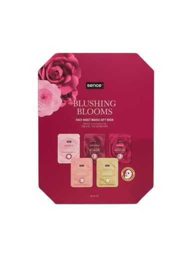 [EVER008608] Libro mascarillas faciales